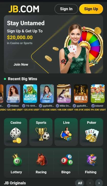JB Casino Overview Your Ultimate Guide to Online Gaming